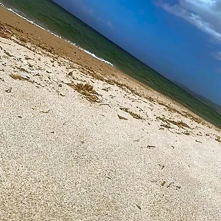 Palalama 3*